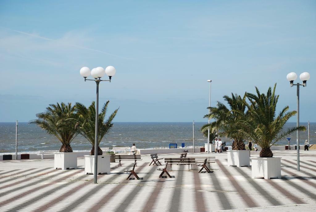 Sunnyzandvoort Zewnętrze zdjęcie